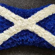 Scotland Pillow