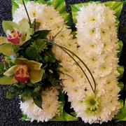 Letters or Numbers with Cymbidium Orchid