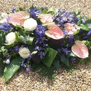 Pink Anthurium &amp; Blues Double Ended Spray